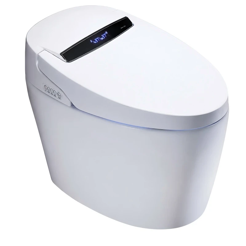 Floor-standing Smart Toilet