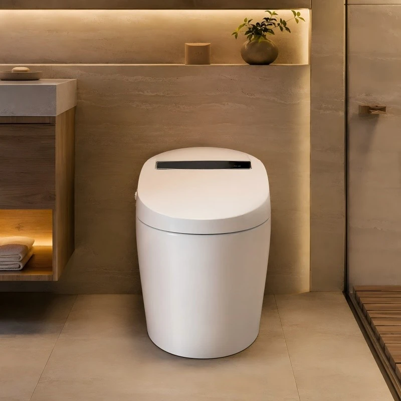 Floor-standing Smart Toilet factory
