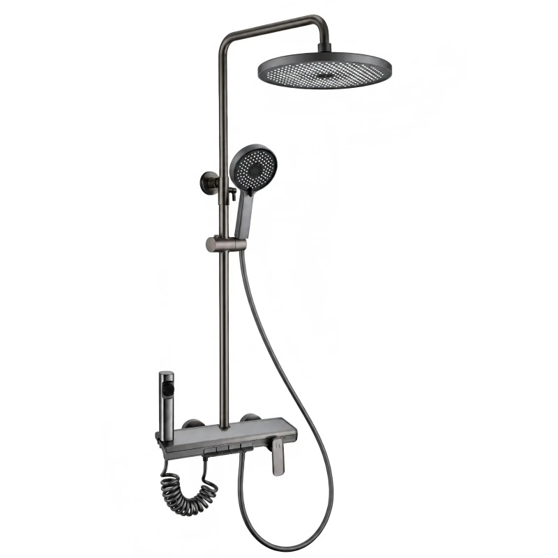 Four-function Shower Set