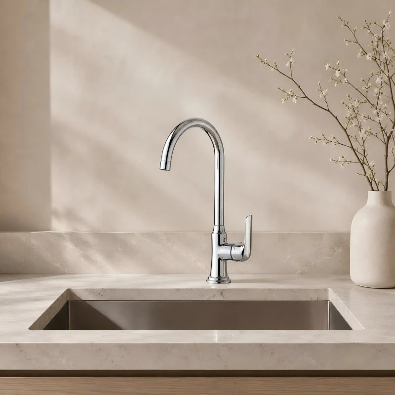 Single Cold Kitchen Faucet price