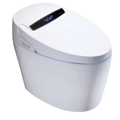 Floor-standing Smart Toilet